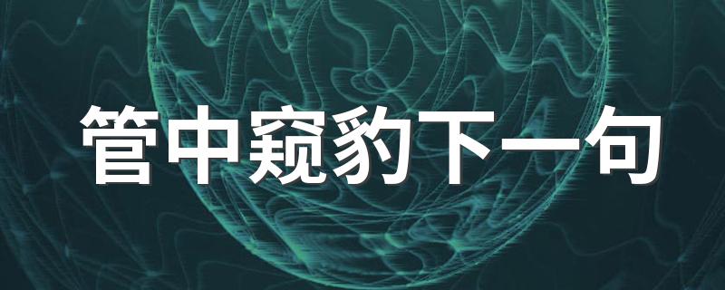 管中窥豹下一句是什么_管中窥豹下一句