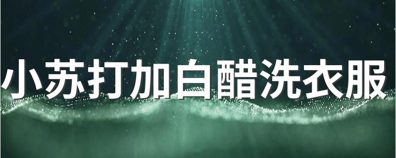 白醋小苏打可以洗衣服上的污渍吗_小苏打加白醋