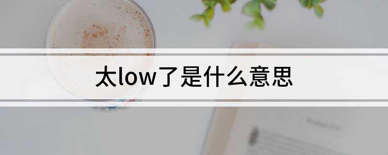 太low了是什么意思