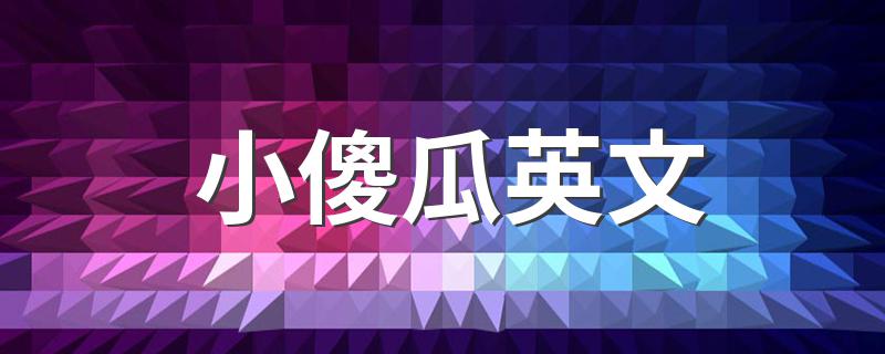 小傻瓜用英语怎么说_小傻瓜英文