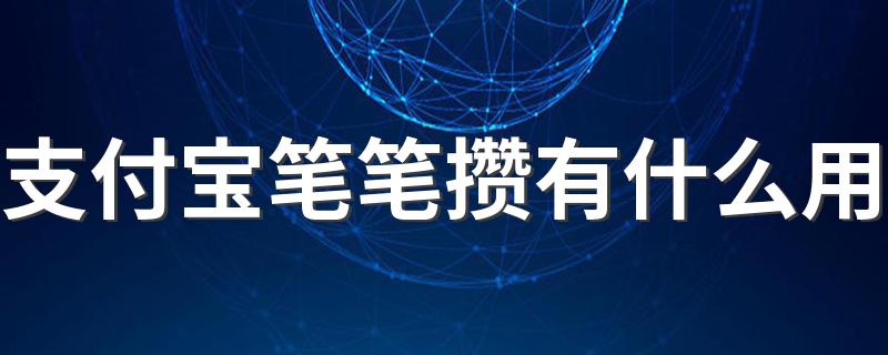 这么用_支付宝笔笔攒有什么用