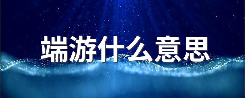 什么叫端游_端游什么意思