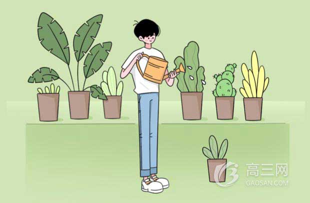 2022杭州市大学排名一览表最新
