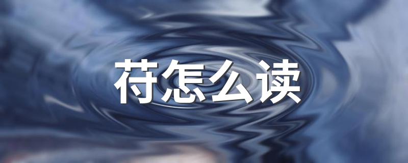 苻的读法_苻怎么读