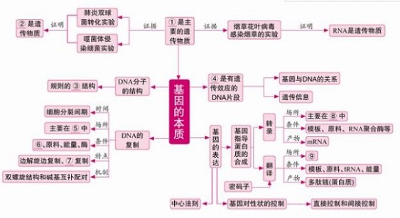 高中生物必修二知识框架图