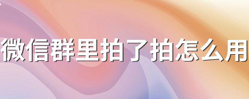 微信拍了拍功能使用方法_微信群里拍了拍怎么用