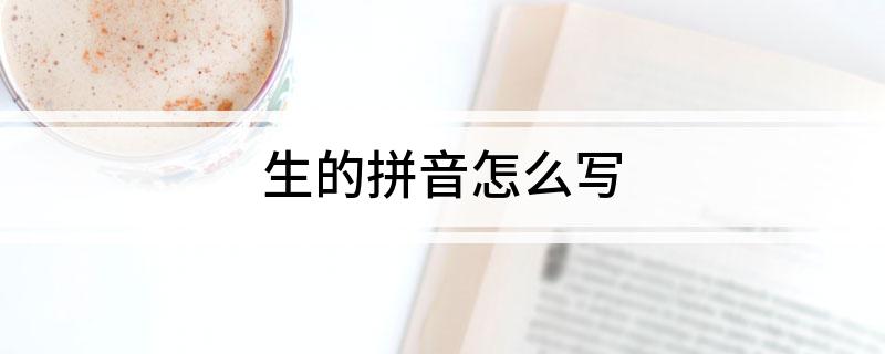 生的拼音怎么写