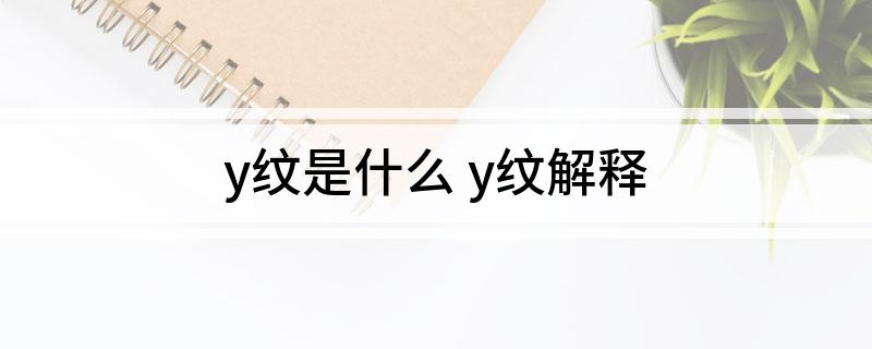 y纹是什么(y纹解释)