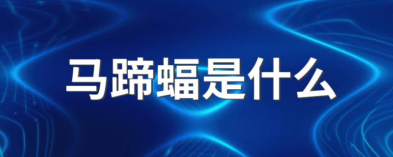 简述马蹄蝠是什么_马蹄蝠是什么