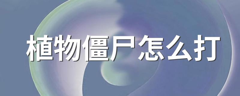 打法攻略介绍_植物僵尸怎么打
