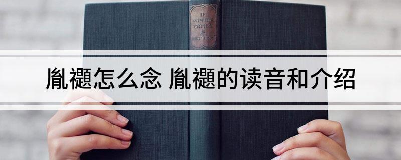 胤禵怎么念(胤禵的读音和介绍)