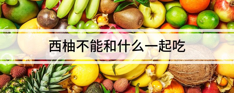 西柚不能和什么一起吃