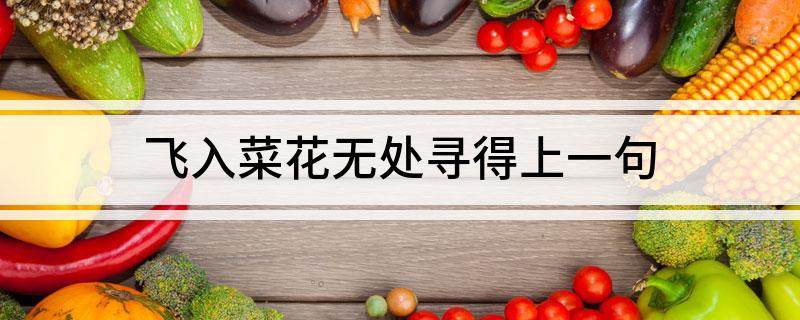 飞入菜花无处寻得上一句