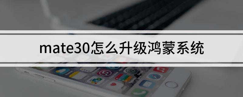 mate30怎么升级鸿蒙系统