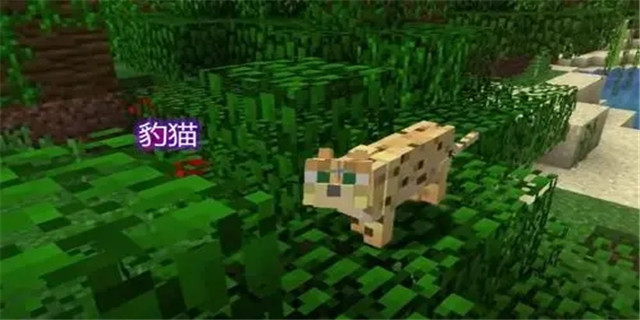 我的世界豹猫怎么驯服(豹猫驯服方法)