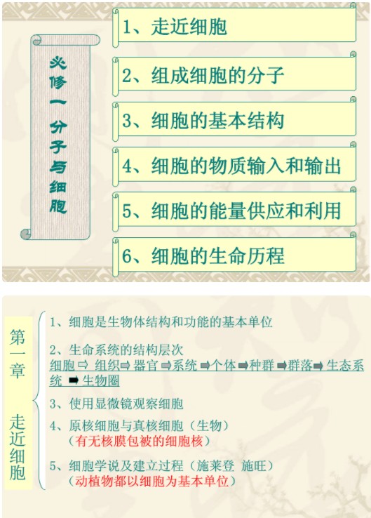 生物必修一知识网状图(高中生物思维导图大全)