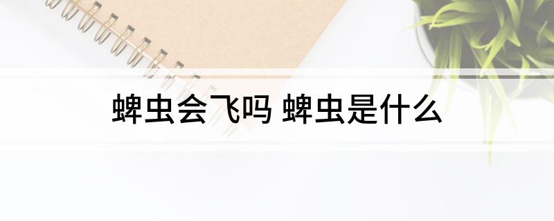 蜱虫会飞吗(蜱虫是什么)
