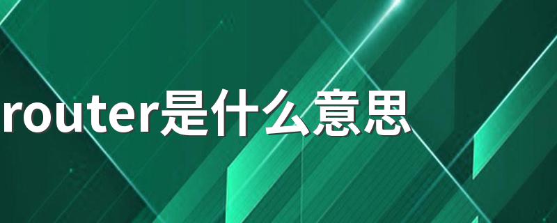 大家可以了解一下_router是什么意思