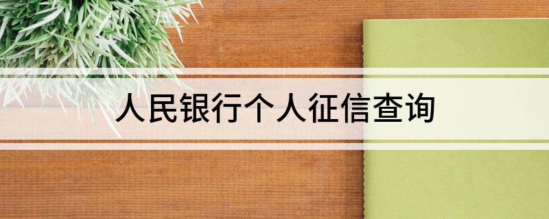 人民银行个人征信查询