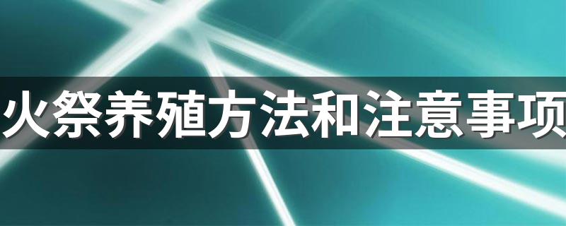 火祭养殖方法和注意事项有哪些_火祭养殖方法和注意事项