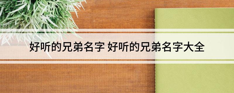 好听的兄弟名字(好听的兄弟名字大全)