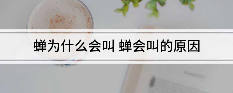 蝉为什么会叫