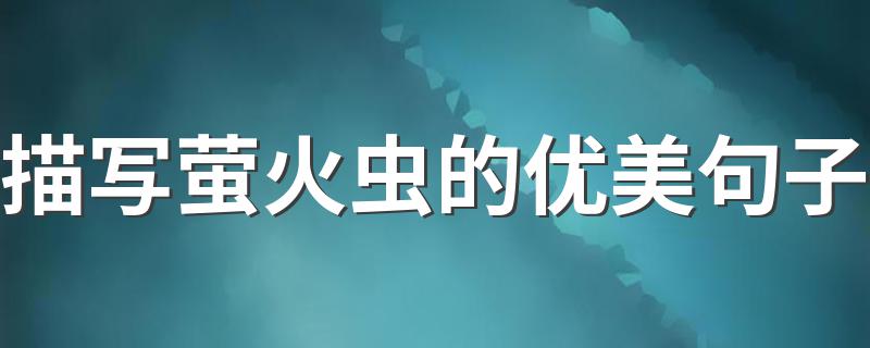 关于萤火虫的唯美句子_描写萤火虫的优美句子