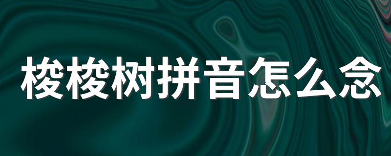 蚂蚁森林的梭梭树介绍_梭梭树拼音怎么念