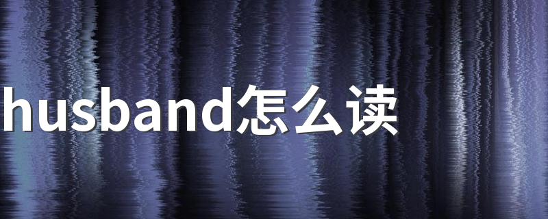husband是什么意思_husband怎么读