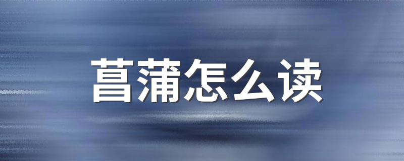 菖蒲是什么东西_菖蒲怎么读