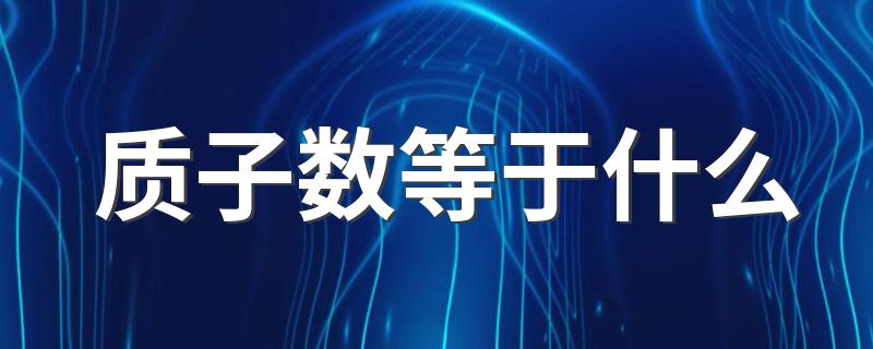 质子数都等于什么呢_质子数等于什么