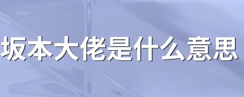 坂本大佬是意思是什么_坂本大佬是什么意思