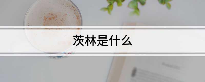 茨林是什么