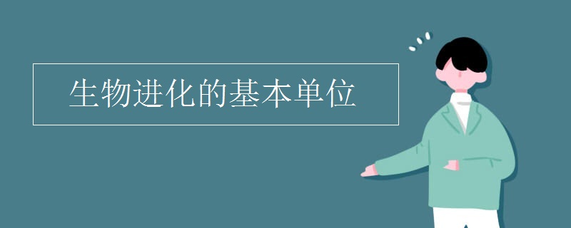 生物进化的基本单位