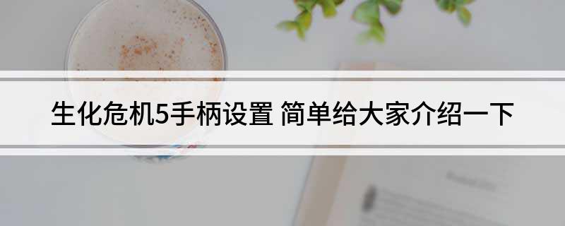 生化危机5手柄设置(简单给大家介绍一下)