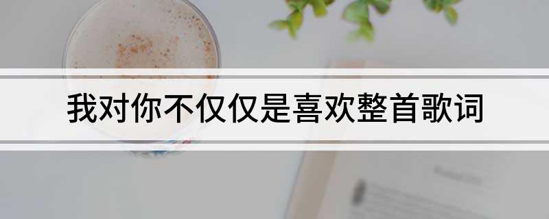 我对你不仅仅是喜欢整首歌词