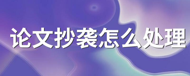 论文抄袭的处罚规范_论文抄袭怎么处理