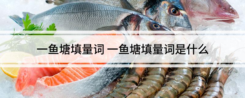 一鱼塘填量词