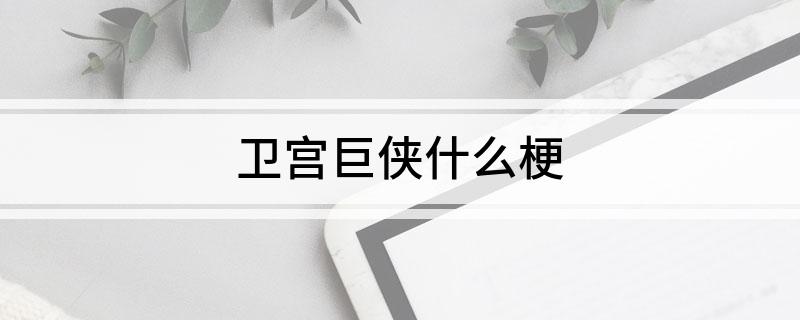 卫宫巨侠什么梗