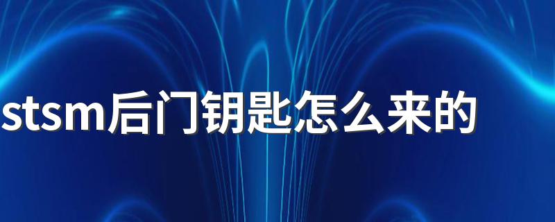 怎么得到stsm的后门钥匙_stsm后门钥匙怎么来的