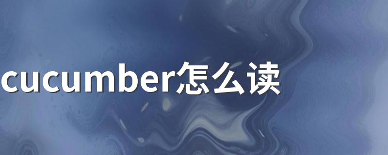 是什么意思呢_cucumber怎么读