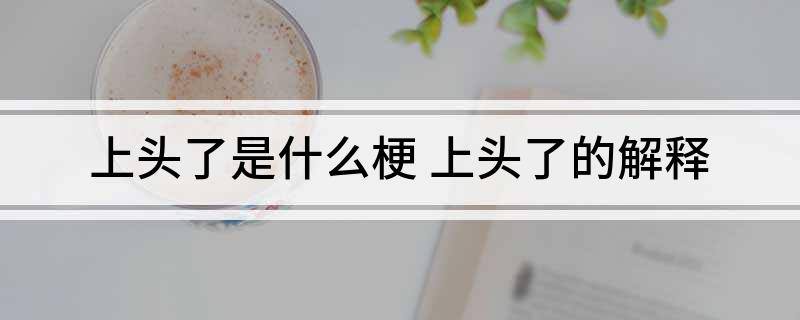 上头了是什么梗(上头了的解释)