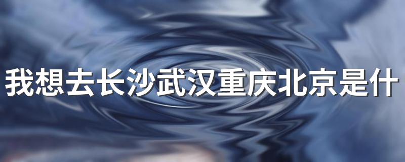 放假了歌曲歌词_我想去长沙武汉重庆北京是什么歌