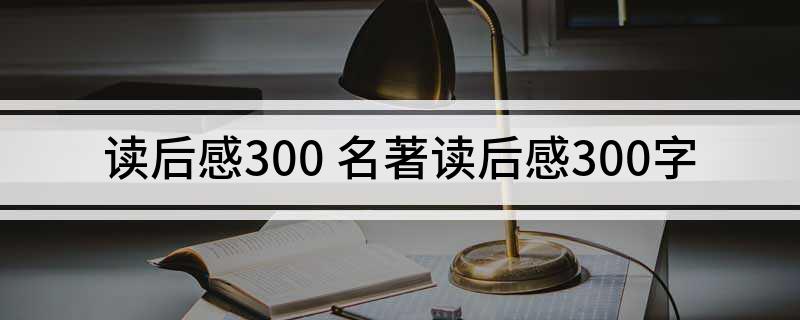 读后感300