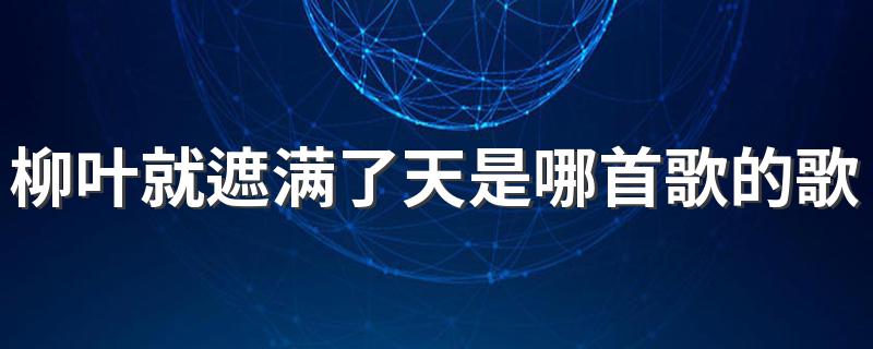 终于找到答案了_柳叶就遮满了天是哪首歌的歌词