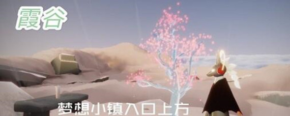 光遇霞谷的樱花树在哪(霞谷的樱花树位置攻略)
