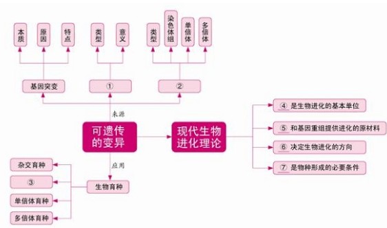 高中生物必修二知识框架图