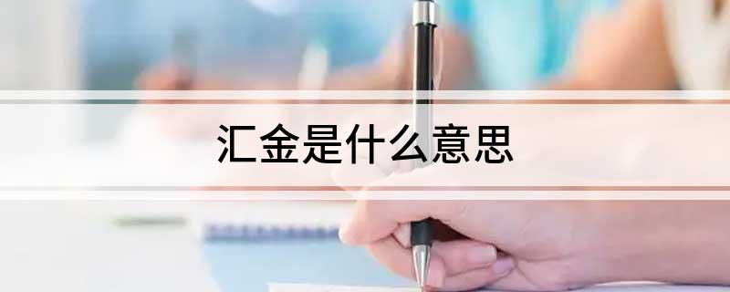 汇金是什么意思