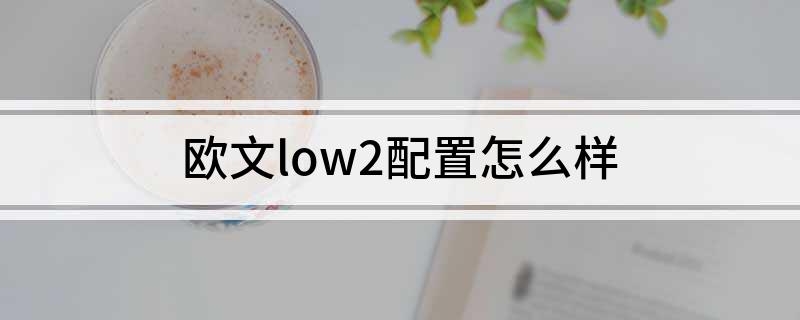 欧文low2配置怎么样