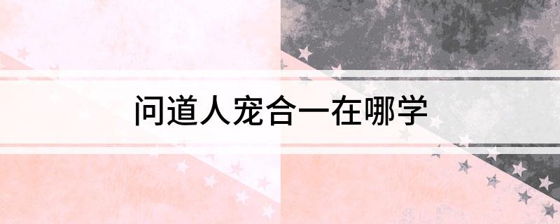 问道人宠合一在哪学